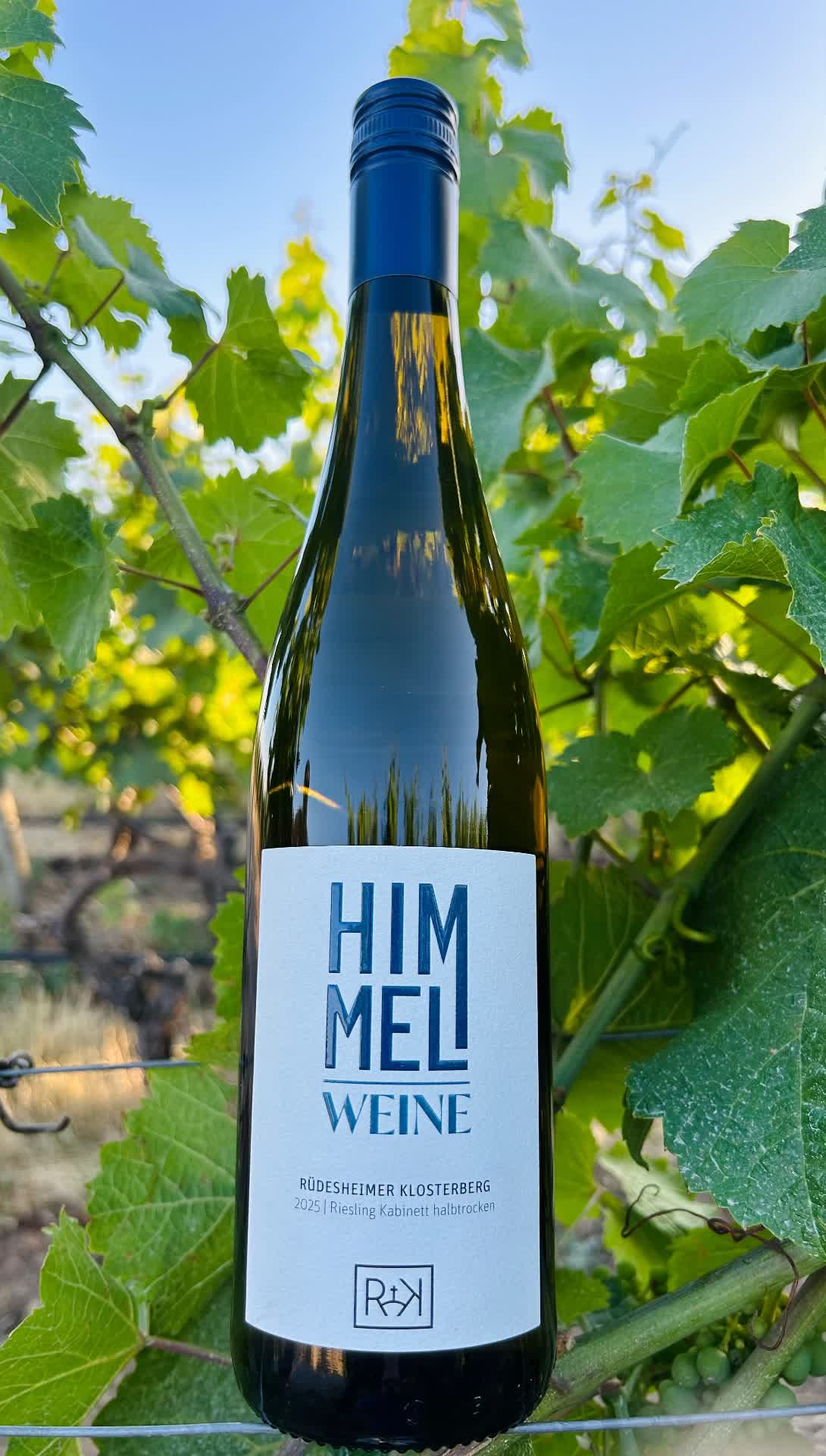 2025er Rüdesheimer Klosterberg Riesling Kabinett halbtrocken